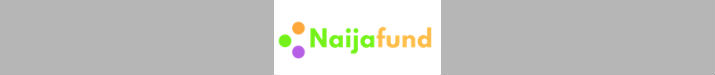 Crowdfunding Websites in Nigeria NaijaFund