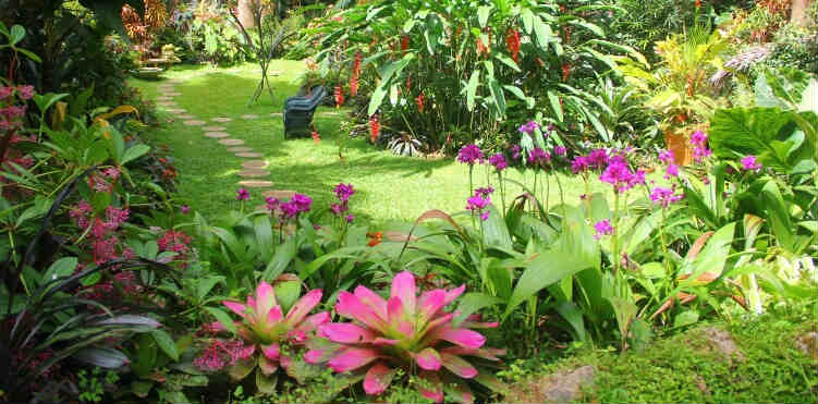 Visa Free Countries for Nigerians Hunte's Gardens