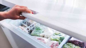 Read more about the article TCL Freezers