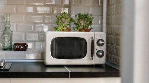 Read more about the article Toshiba Microwaves