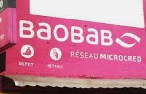 Read more about the article Requirements for Baobab Microfinance Loans
